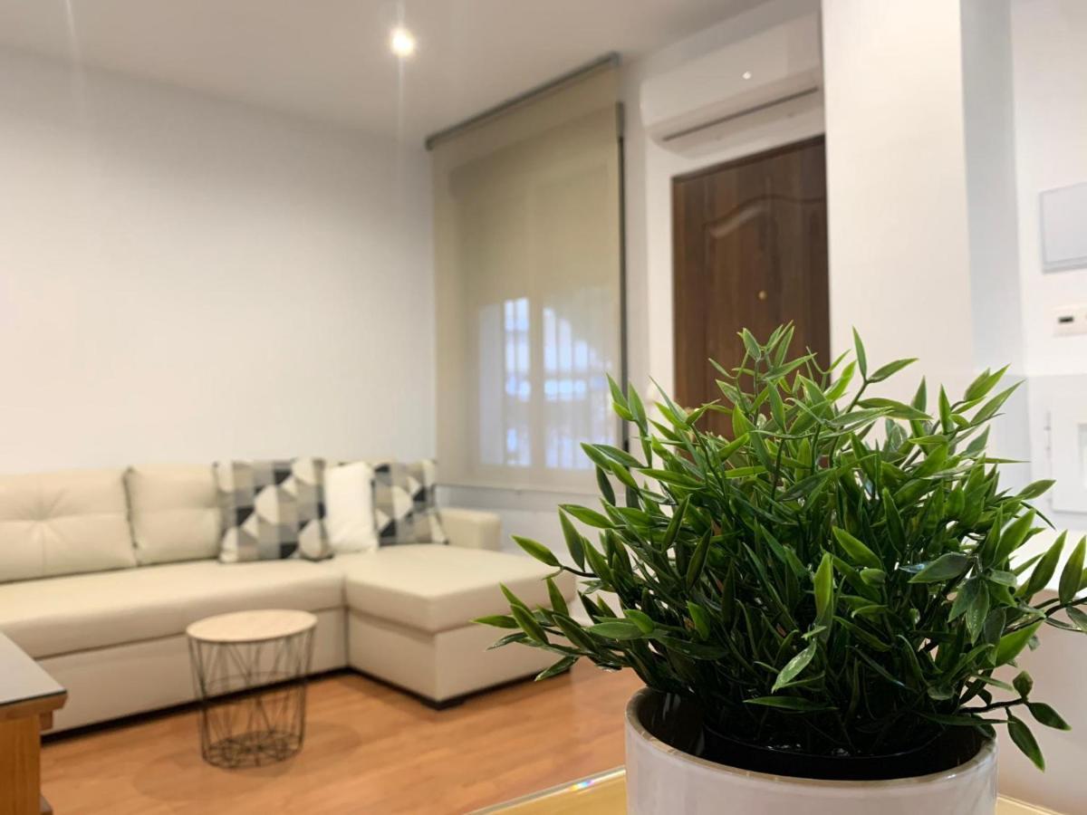 Apartamento La Mezquita-Catedral 科爾多瓦 外观 照片